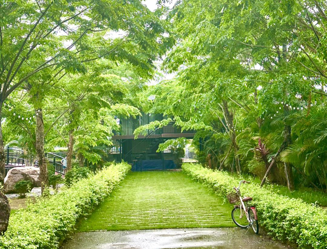 Cổng vào xanh mát xua tan đi nắng hè